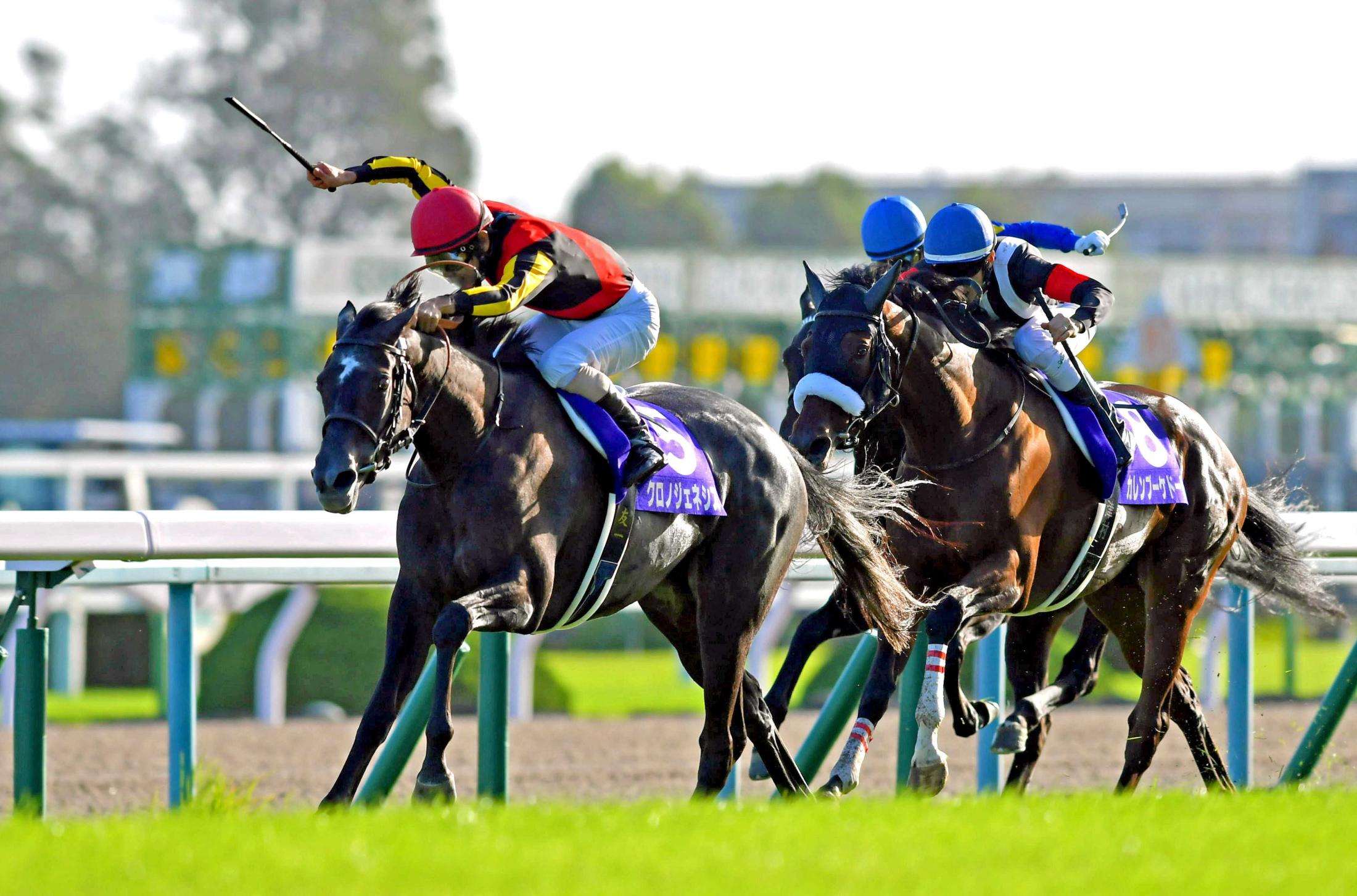 秋華賞 競馬記事一覧 | 競馬まとめ - netkeiba.com