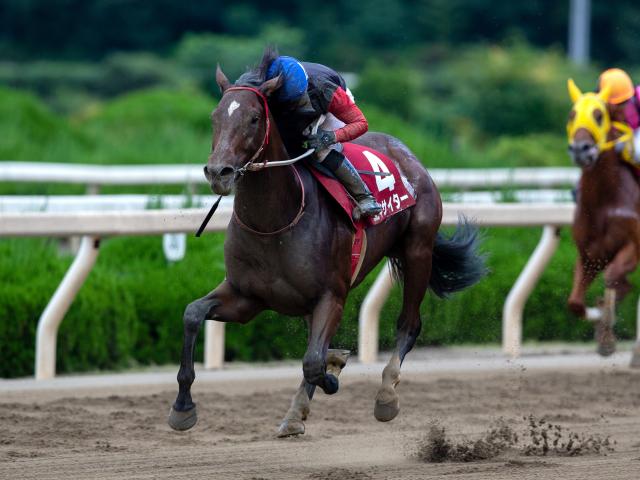 園田 兵庫若駒賞 エキサイターが地元5連勝で重賞初制覇 地方競馬レース結果 競馬ニュース Netkeiba Com