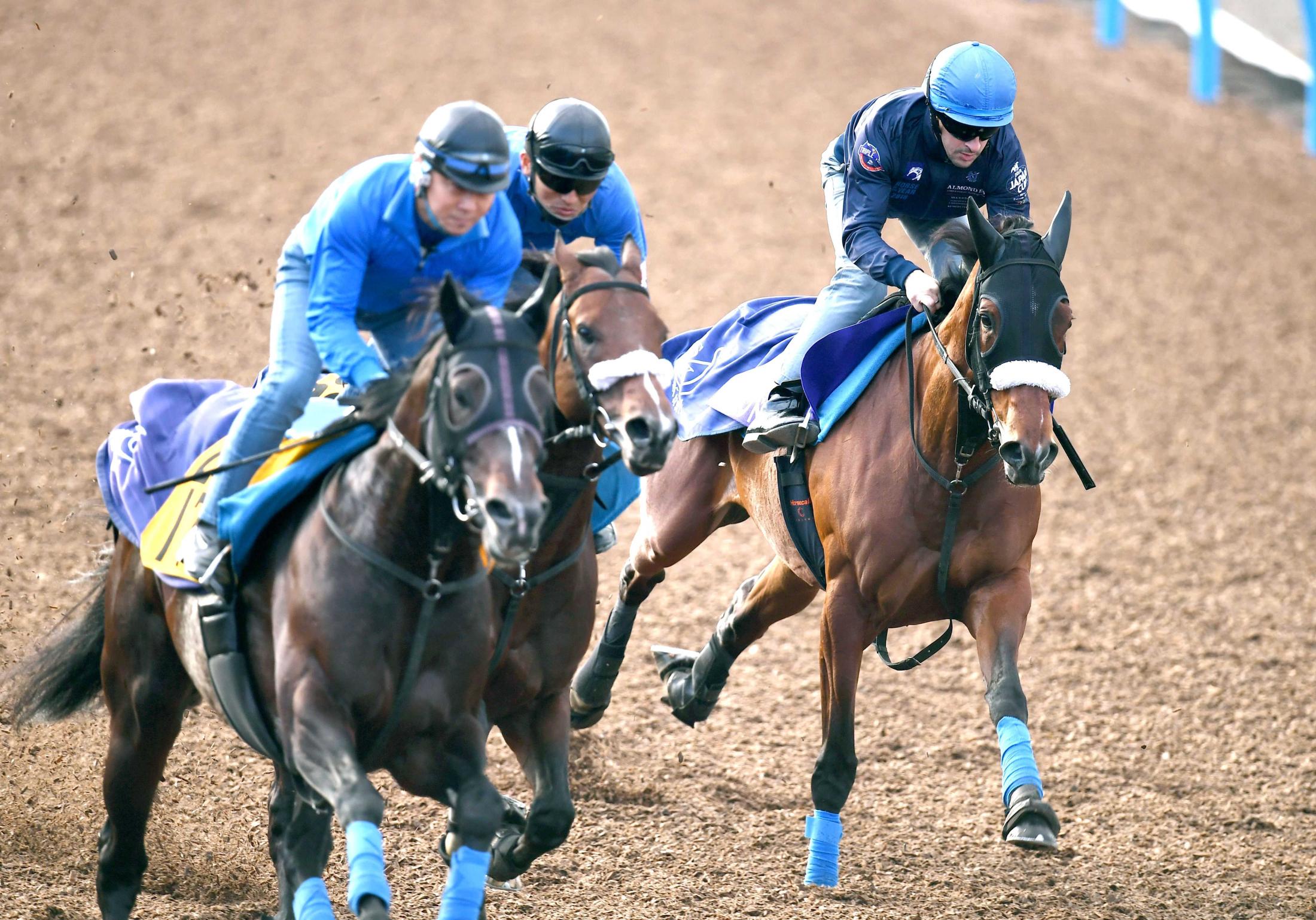 天皇賞 アーモンドアイ鋭伸 ルメール絶賛 脚と息に無駄がない 競馬ニュース Netkeiba Com