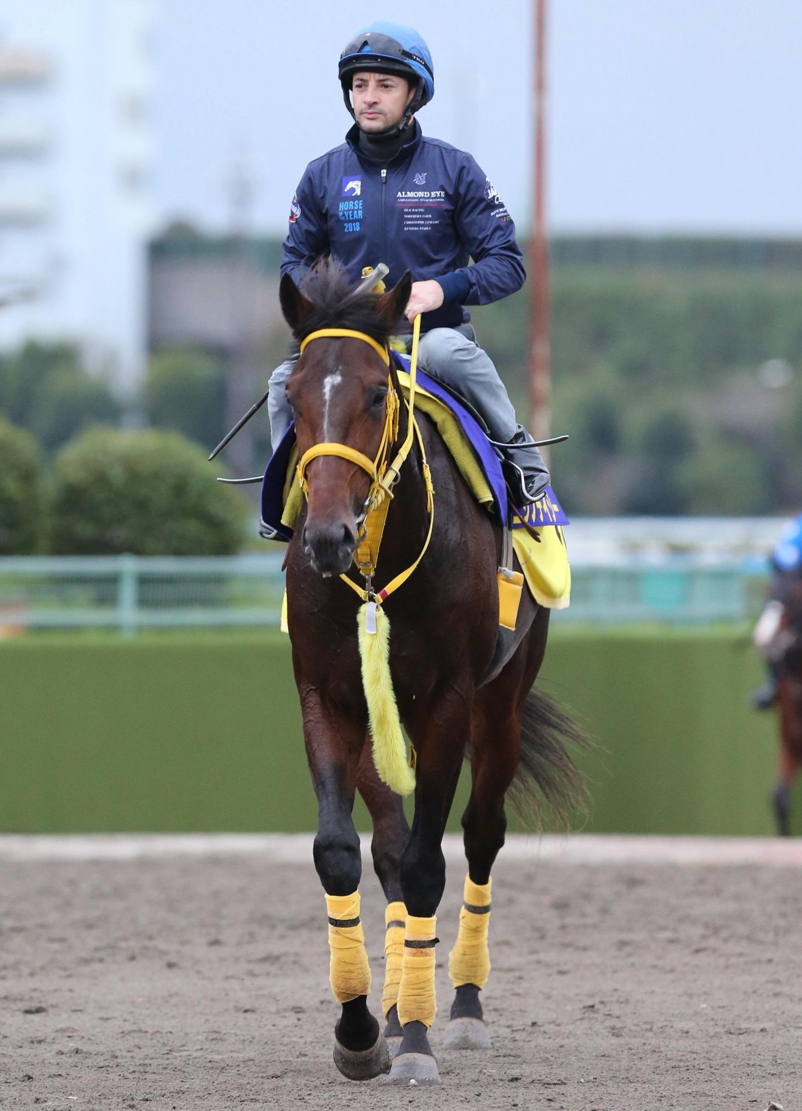 菊花賞 ニシノデイジー操縦性アップ 高木師 折り合い面良くなっている 競馬ニュース Netkeiba Com