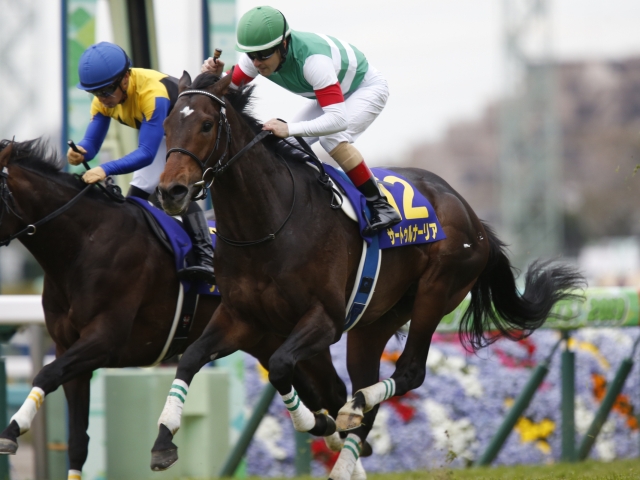 牝馬三冠馬の秋緒戦 中距離頂上決戦の天皇賞 秋に注目 今週の競馬界