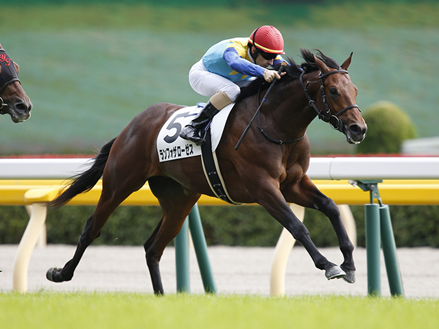【天皇賞・秋予想】 今年は2強決着もやむなし!?　馬券的な旨みは、1勝馬の“3着付け”にあり！/JRAレース展望