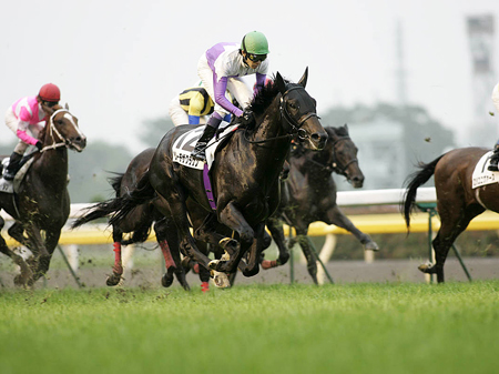 09年日本ダービー2着馬リーチザクラウンが引退 種牡馬入りへ 競馬ニュース Netkeiba Com