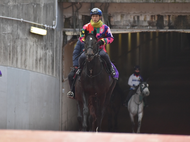 レヴィオーサなど 先週のゲート試験 栗東トレセンニュース 競馬ニュース Netkeiba Com