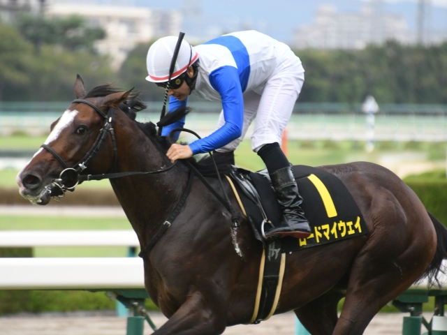 チャレンジカップの競馬予想に役立つ3つのポイント