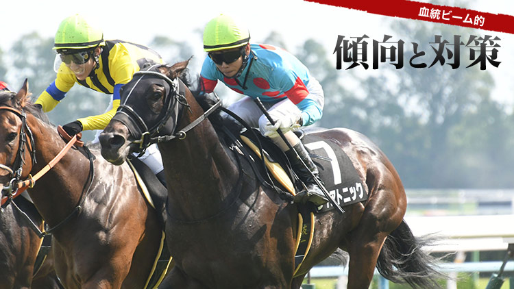 キーンランドカップ21特集 Netkeiba Com 競馬予想 結果 速報 オッズ 出馬表 出走予定馬 騎手 払戻など競馬最新情報