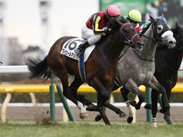 池添謙一,謙聞録 競馬記事一覧 | 競馬まとめ - netkeiba.com