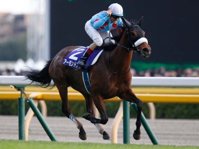 【有馬記念】ファン投票1位アーモンドアイ、ルメール騎手騎乗で参戦が決定！