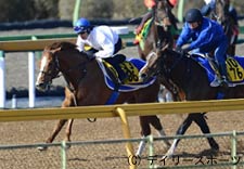 ケガの功名、ナカヤマナイト疲れ取れ好調/中山記念