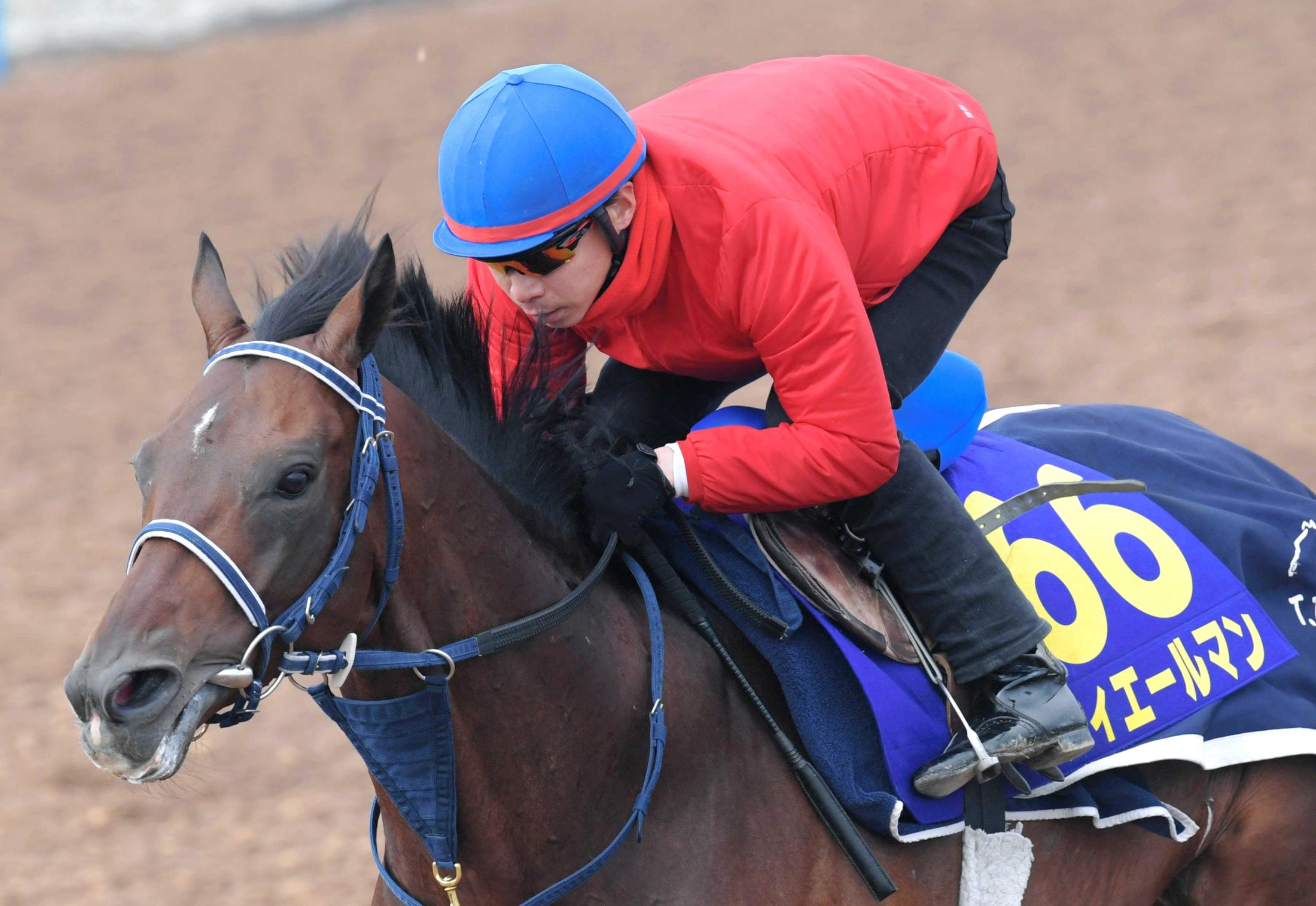 池添謙一,謙聞録 競馬記事一覧 | 競馬まとめ - netkeiba.com