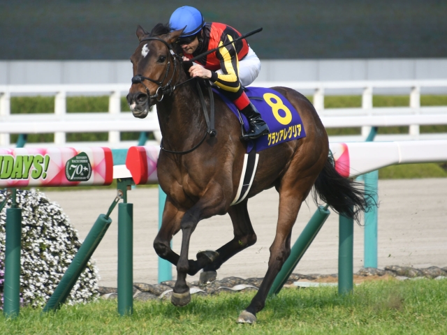 【阪神C】グランアレグリアは3枠5番、マイスタイルは1枠1番/JRA ...