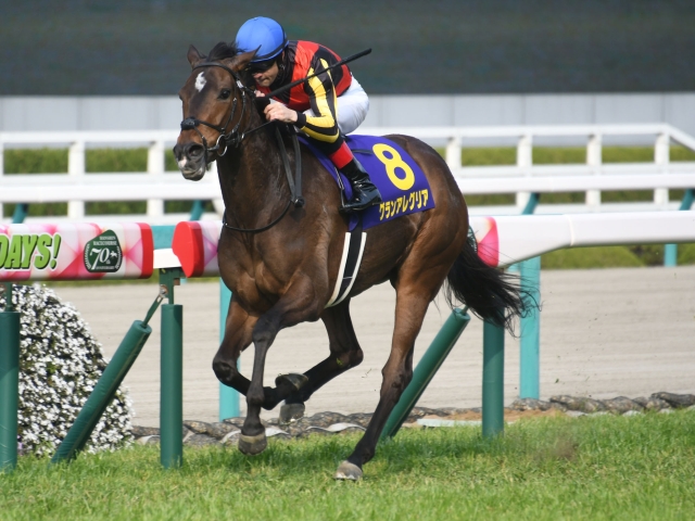 【阪神C】桜花賞馬グランアレグリアが人気の中心/JRA重賞予想 ...