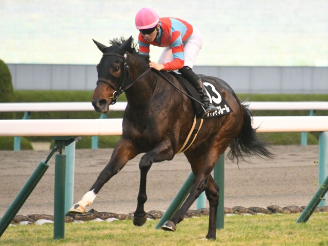 千両賞 8番人気シャンドフルールが逃げ切り快勝 Jraレース結果 競馬ニュース Netkeiba Com