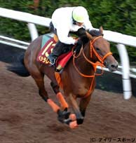 秋華賞1週前追い切り(1)・ベッラレイアなど