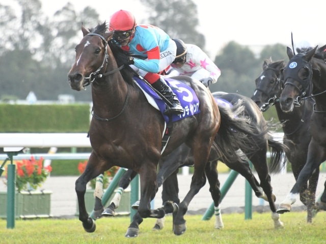 【競馬ファンが選ぶ最優秀4歳以上牡馬】マイル王インディチャンプがライバル抑え最多得票/中間結果発表