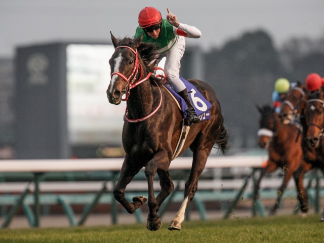 【競馬ファンが選ぶ年度代表馬】有終の美を飾ったリスグラシューがダントツの1位！/中間結果発表