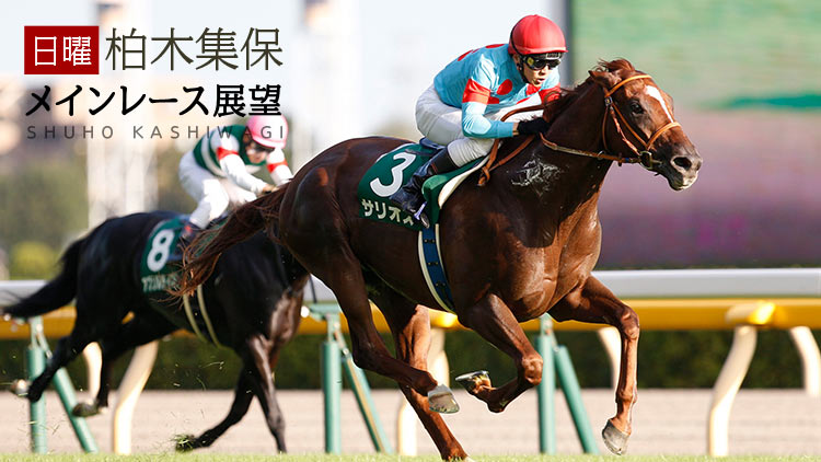 毎日王冠21特集 Netkeiba Com 競馬予想 結果 速報 オッズ 出馬表 出走予定馬 騎手 払戻など競馬最新情報