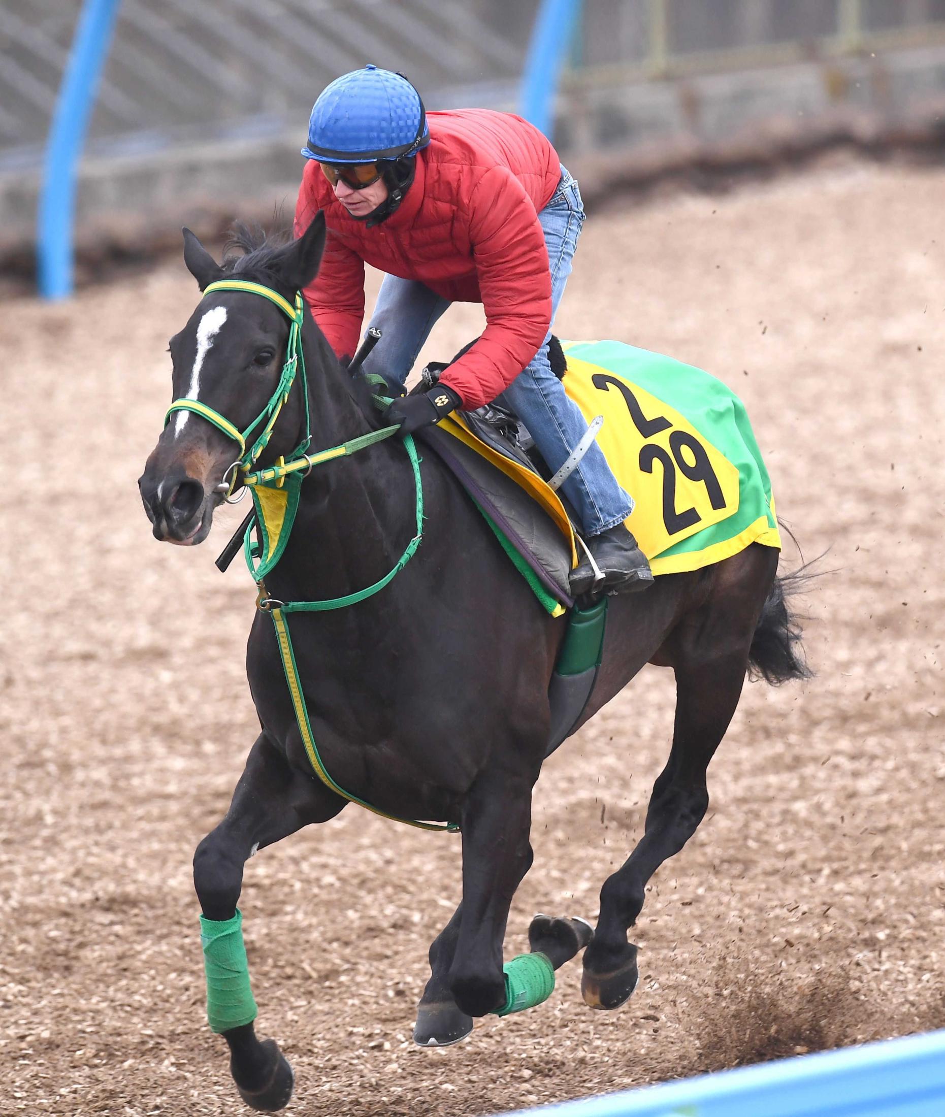 アメリカジョッキークラブカップ Ajcc ａｊｃｃ アメリカjcc 競馬記事一覧 競馬まとめ Netkeiba Com