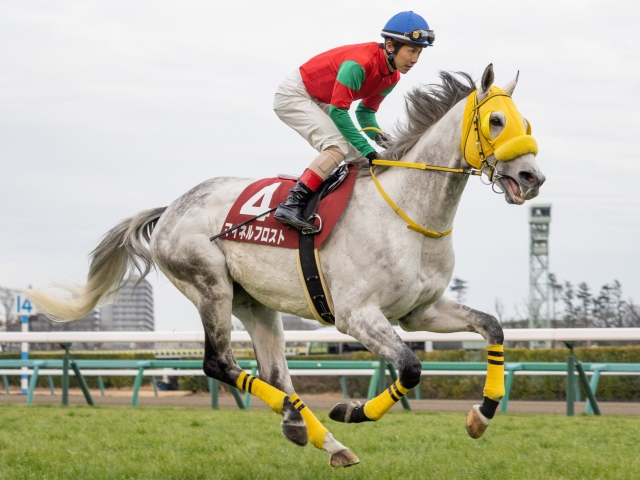 マイネルフロストの競走馬登録を抹消 競馬ニュース Netkeiba Com