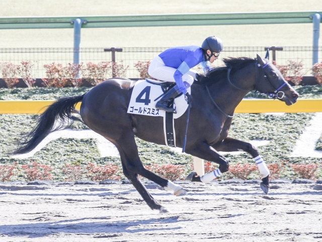 ステイゴールド産駒 Jra通算1100勝達成 競馬ニュース Netkeiba Com