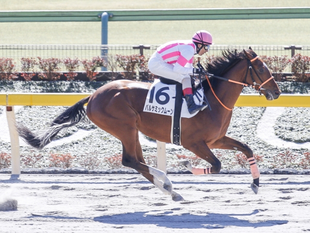 東京3r新馬戦 バルサミックムーンが4馬身差完勝 Jraレース結果 競馬ニュース Netkeiba Com