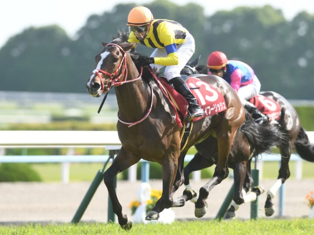 【京都記念】フルゲート18頭に10頭、除外馬はなし/出走馬決定順