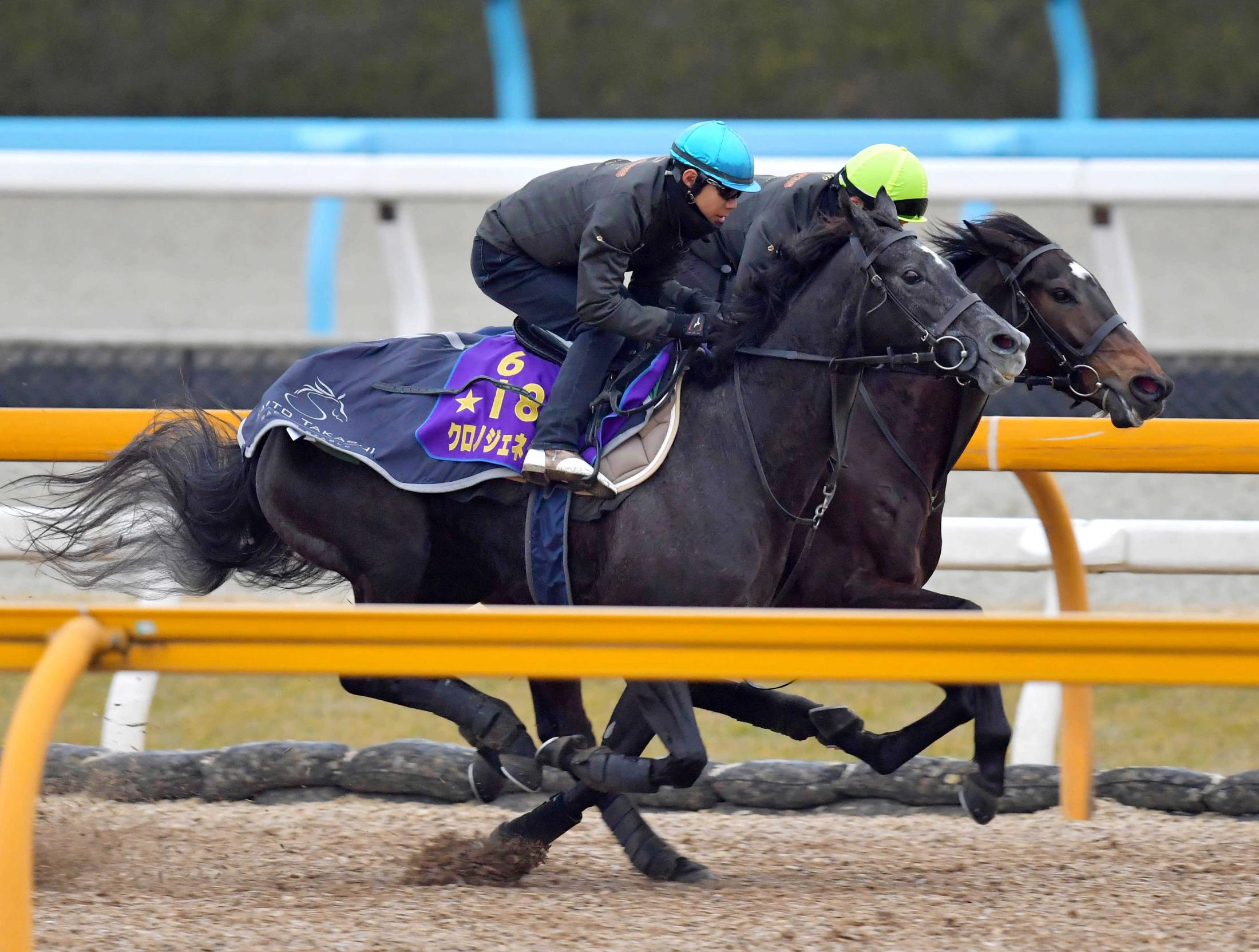 　北村友を背に力強い動きを披露したクロノジェネシス（手前）＝撮影・石湯恒介