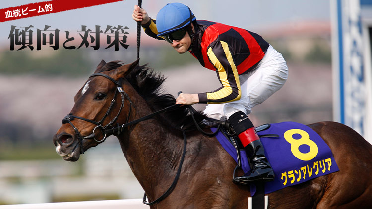 マイルチャンピオンシップ出走予定馬の血統評価/亀谷敬正
