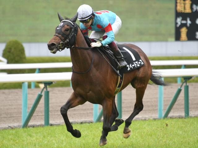 アルメリア賞 スペードエースがまとめて差し切りデビュー2連勝 Jraレース結果 競馬ニュース Netkeiba Com