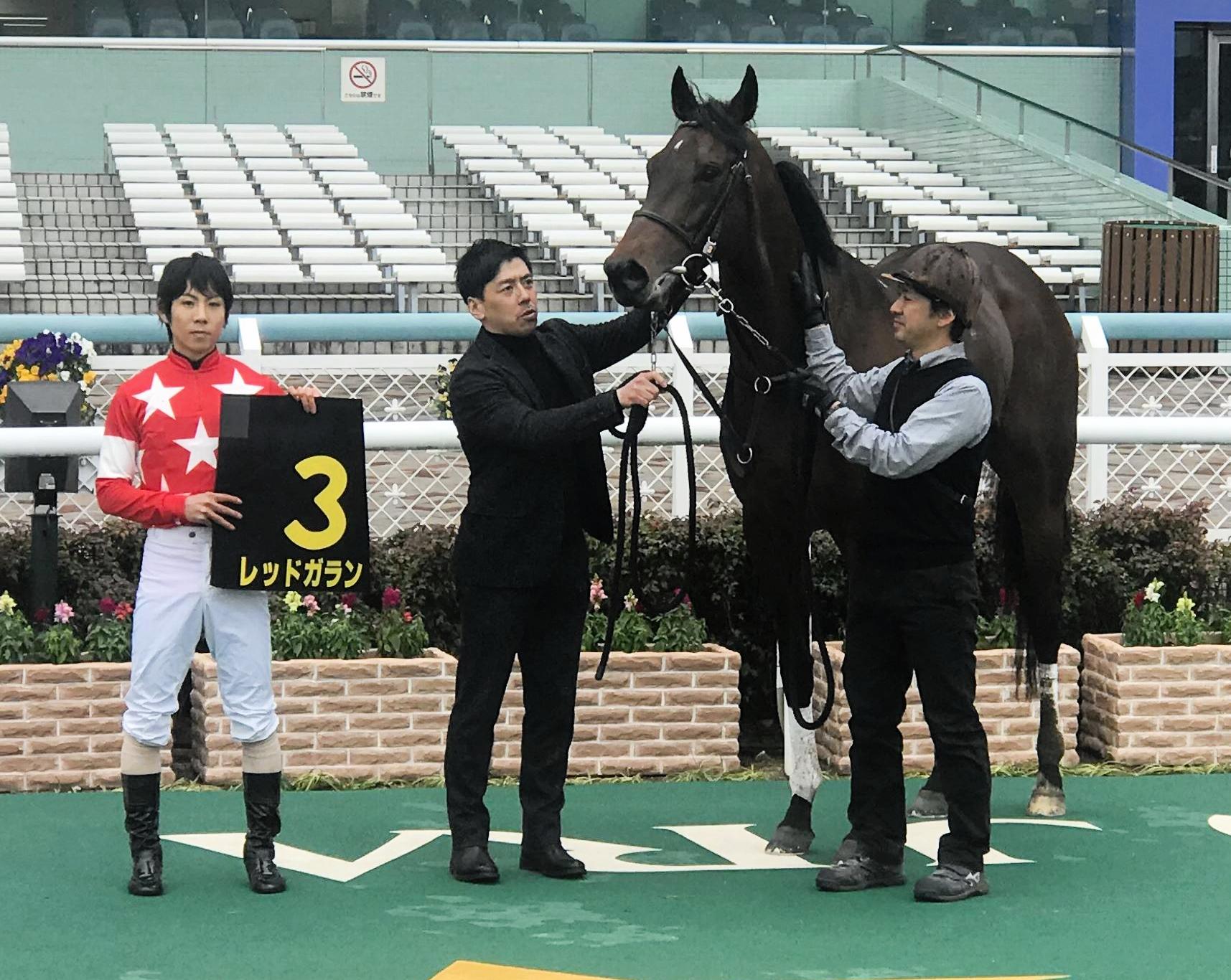 大阪城ｓ レッドガラン 鮮やかオープン初ｖ 安田隆厩舎が連日大活躍 競馬ニュース Netkeiba Com