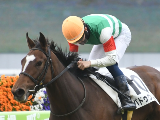 【3歳1勝クラス】(阪神7R) パドゥヴァルスが3馬身差の快勝