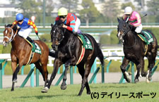 キズナ、皐月賞は回避。佐々木師「全てはダービーのため」/毎日杯