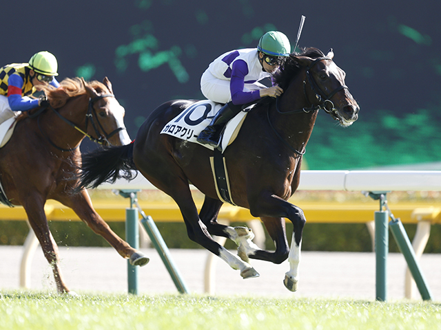 スプリングs予想 少頭数こそ馬券は狙い目 消去法を参考にして買い目の点数を絞ろう Jraレース展望 競馬ニュース Netkeiba Com