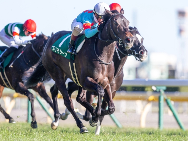 【ダービー卿CT】登録馬 プリモシーン、レイエンダなど19頭
