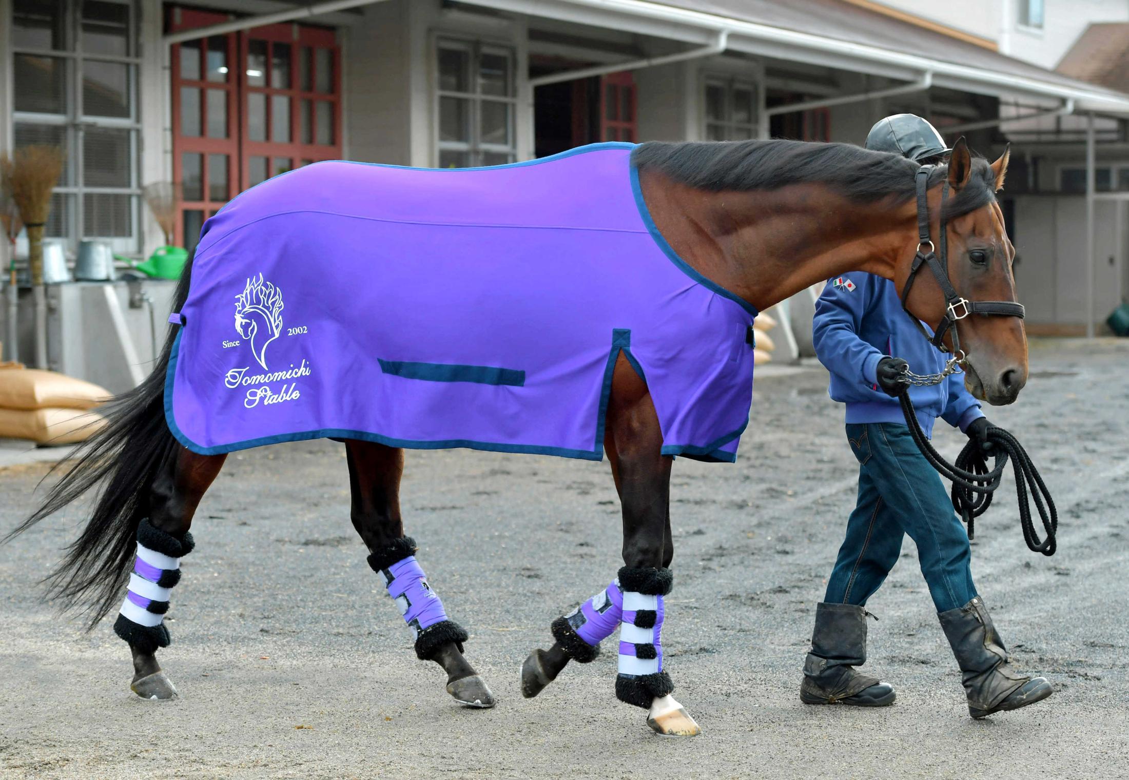 大阪杯 マカヒキ ワグネリアン復活ｖへ ダービー馬をあなどるな 友道厩舎一丸 競馬ニュース Netkeiba Com