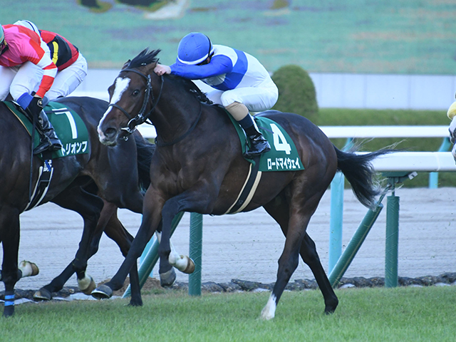 大阪杯予想 消去法が指し示す 前走で大敗した馬の可能性 該当した7割が4着以下に敗れている 危険な人気馬 も Jraレース展望 競馬ニュース Netkeiba Com