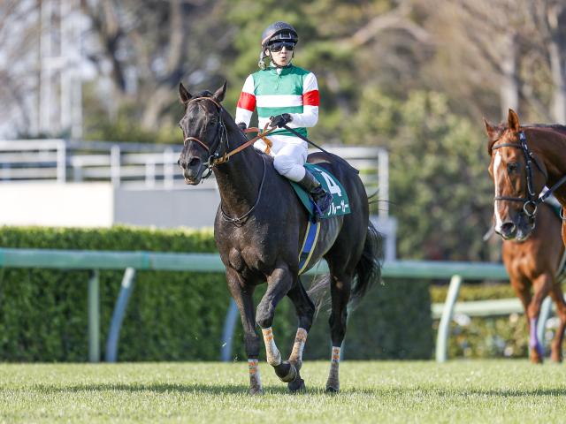 【ダービー卿CTレース後コメント速報】優勝したクルーガー石橋脩騎手