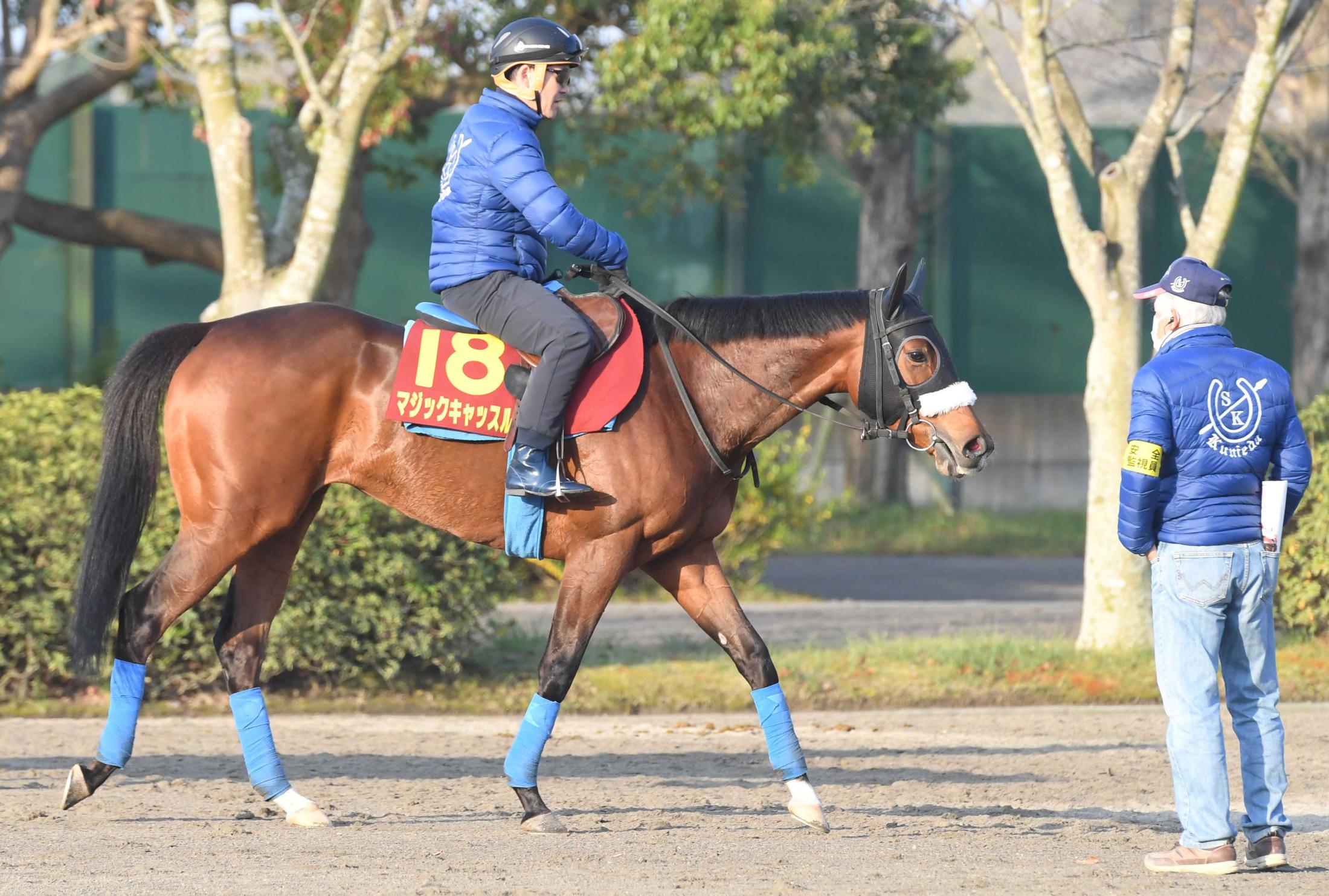 桜花賞 マジックキャッスル末脚発揮だ 国枝師 枠の内 外気にしなくていい 競馬ニュース Netkeiba Com