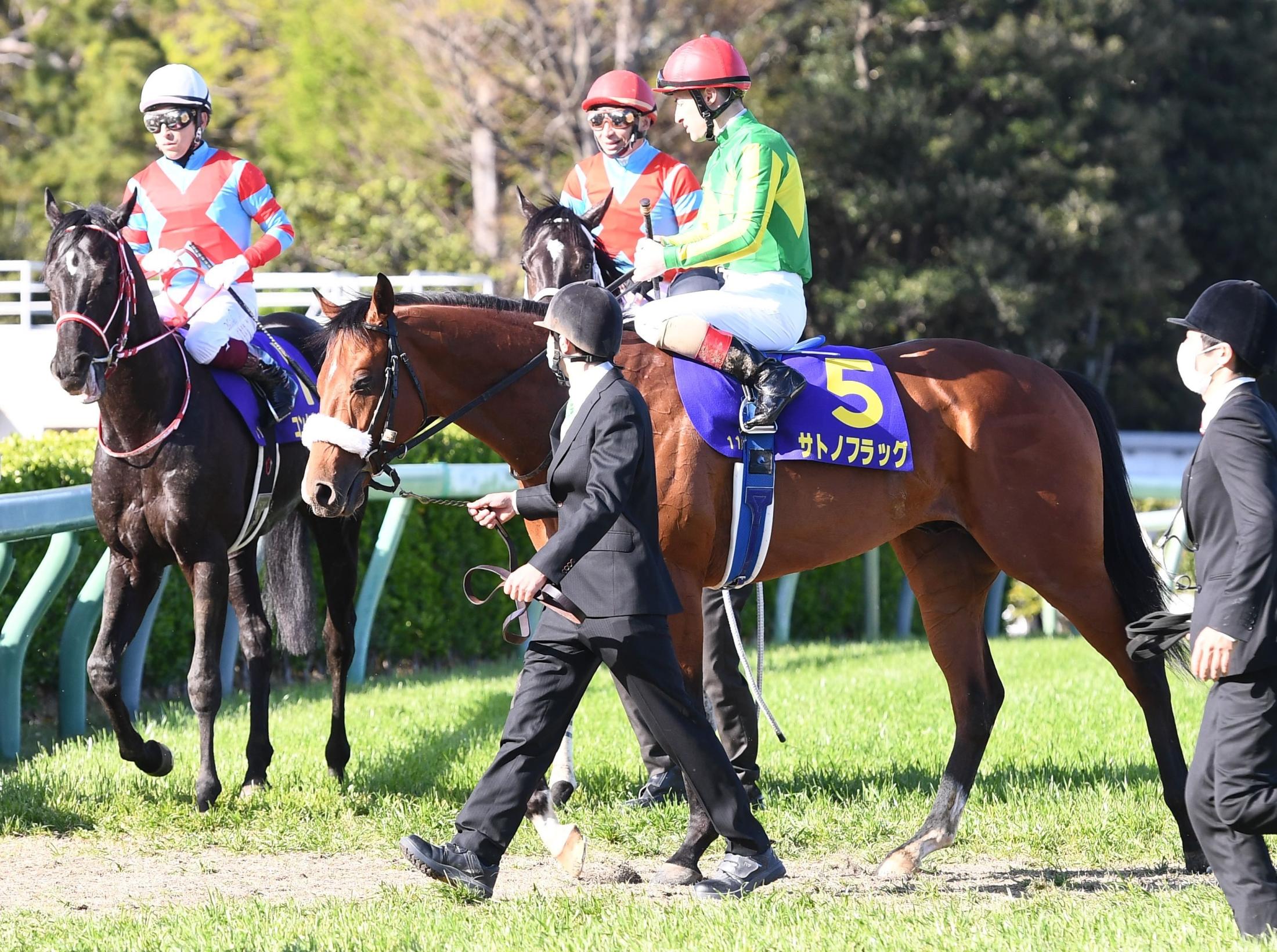 ホースチェスナット ケンタッキーで種牡馬入り 最新競馬ニュース Netkeiba Com