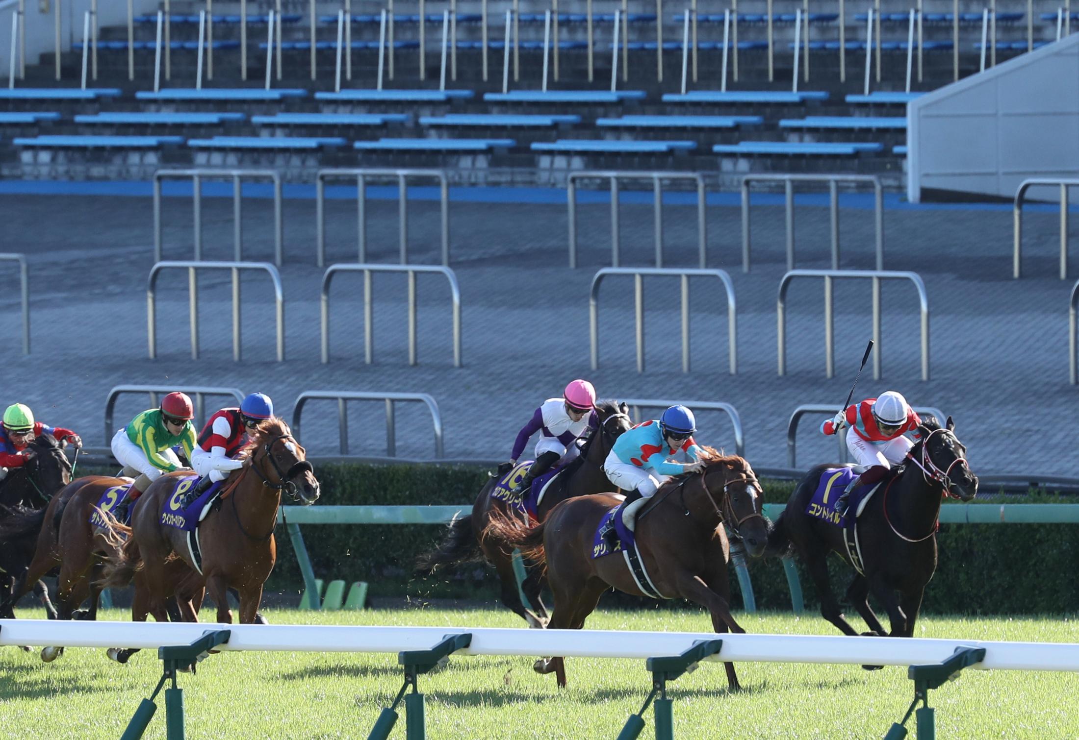 ホースチェスナット ケンタッキーで種牡馬入り 最新競馬ニュース Netkeiba Com