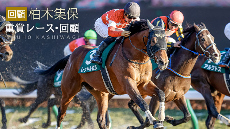 根岸ステークスのニュース 最新情報 競馬まとめ Netkeiba Com