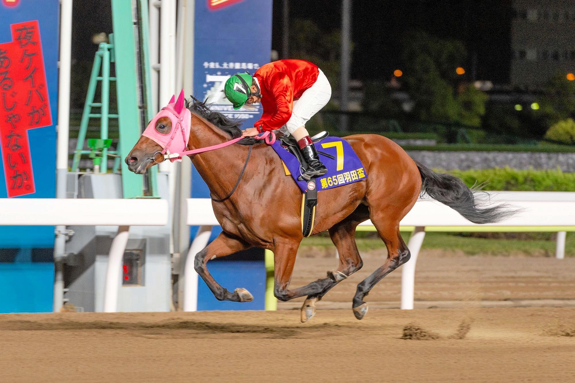 お買い物マラソン限定☆ 地方競馬 大井競馬のあゆみ | dizmekaro.com