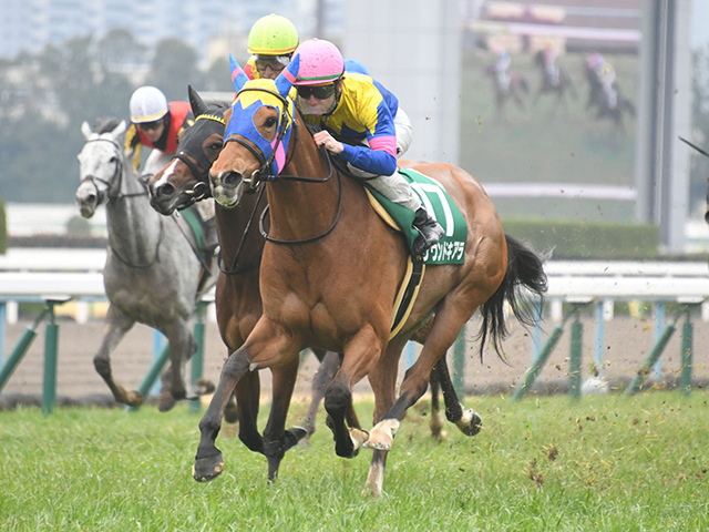 3連勝中のサウンドキアラが今回の『ケシウマ』に該当。重賞連勝中だけに上位人気にはなりそうだが、消去データ以外に大外の枠順も気がかりなところだ