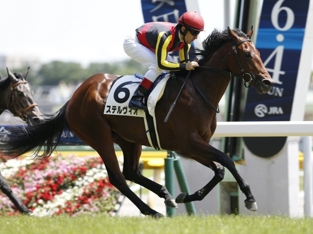 【5/16の注目厩舎・木村哲也厩舎】ステルヴィオ調子上向きで馬場が鍵/馬三郎