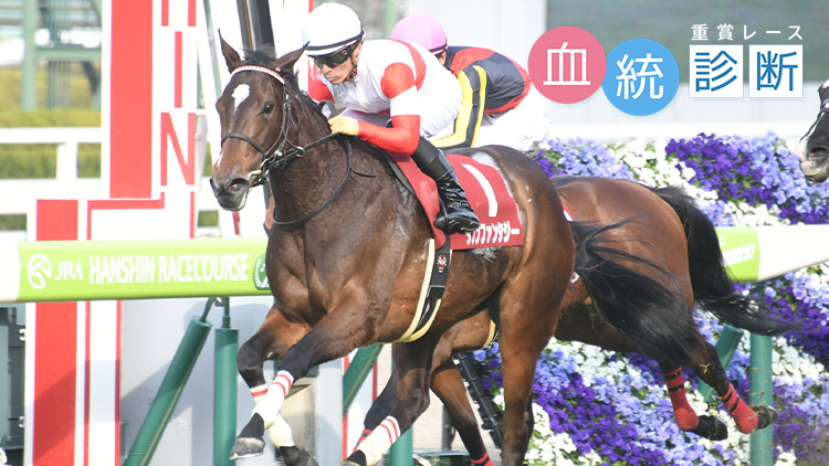 【阪急杯予想】良ならディープ産駒が3連勝中の阪神芝1400重賞 ...