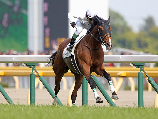 日本ダービー予想 ポイントは実際の人気よりも前走の人気 的中への近道は 強いと思われていた馬 を見つけること Jraレース展望 競馬ニュース Netkeiba Com