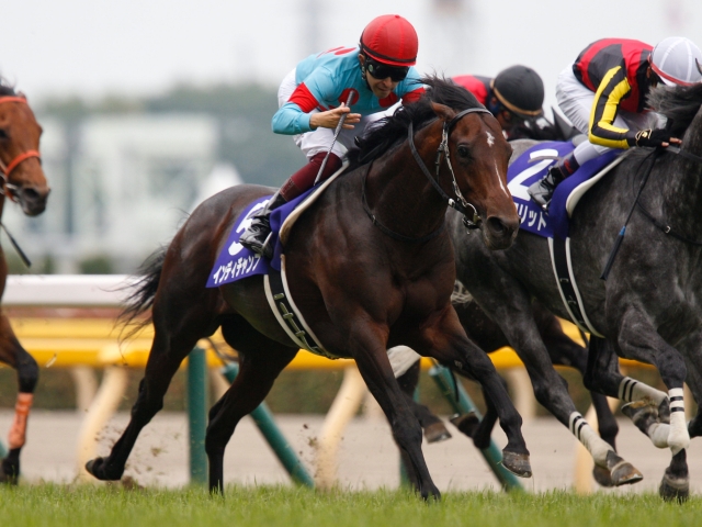 安田記念 さらに上昇 インディチャンプ連覇へ照準ピタリ 馬三郎のつぶやき 競馬ニュース Netkeiba Com