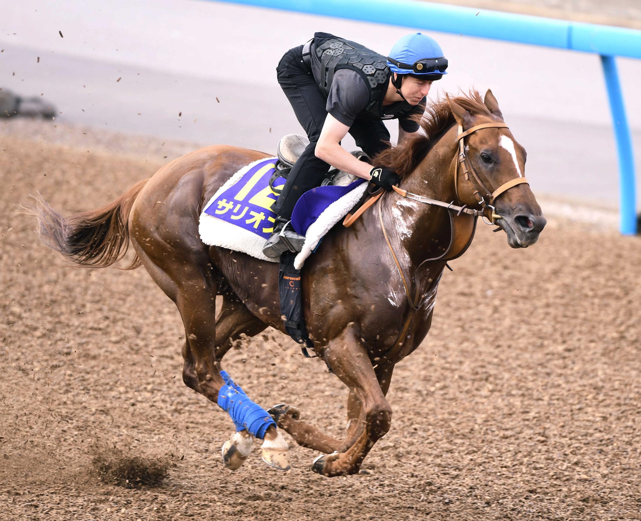 日本ダービー サリオス 仕上がり途上の前走から一段階成長 レーンも好感触 競馬ニュース Netkeiba Com