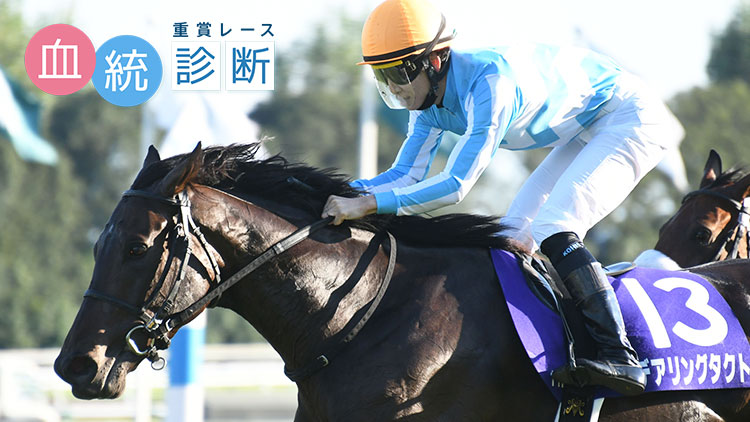 金鯱賞予想 17年から大阪杯の重要ステップに ダンジグの血を引く馬が毎年馬券に絡む 競馬コラム Netkeiba Com