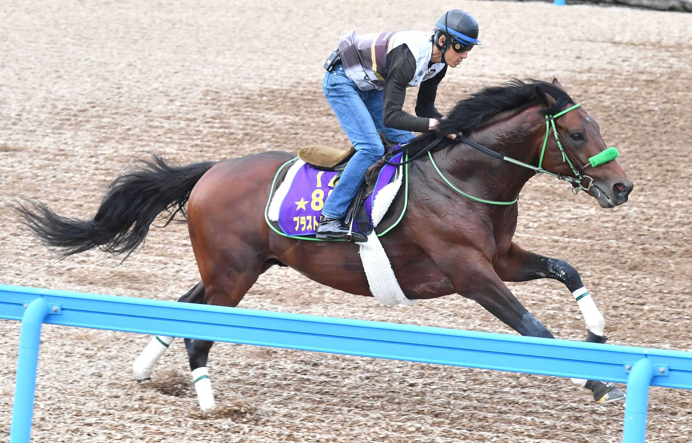 宝塚記念 ブラストワンピースが１０位 ｇｐホース巻き返す 大竹師も好感触 競馬ニュース Netkeiba Com